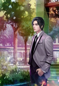 《风家三小姐》
