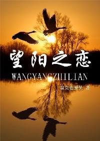 望阳之恋/魔法师攻掠记